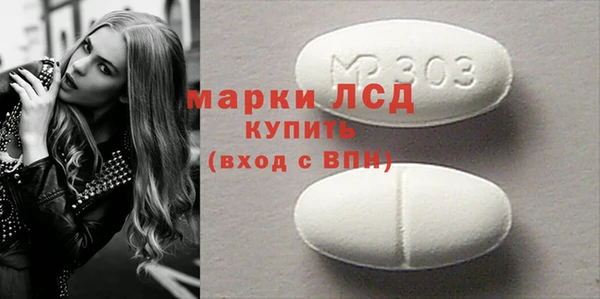 хмурый Няндома