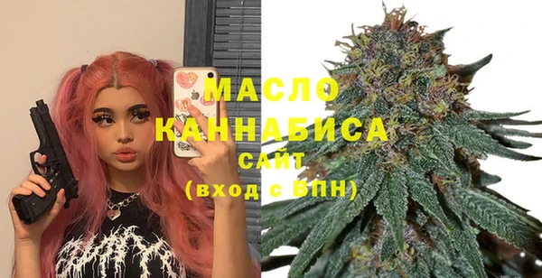 хмурый Няндома