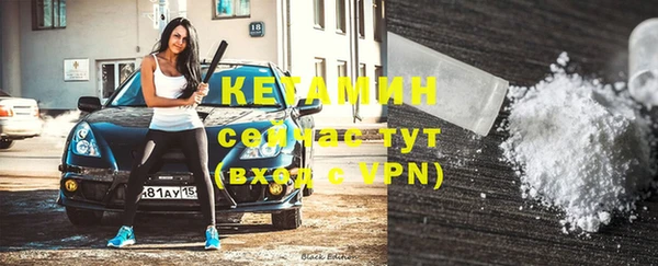 прущие грибы Армянск