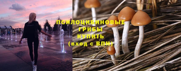хмурый Няндома