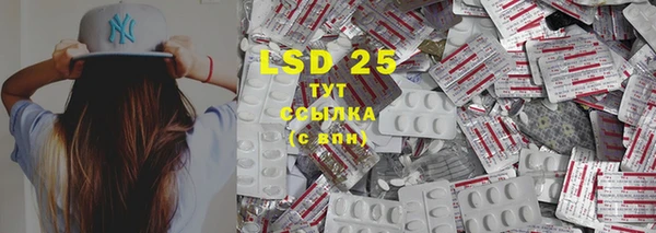 стафф Таштагол