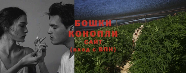 хмурый Няндома