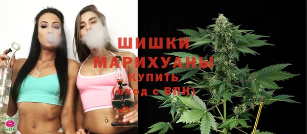хмурый Няндома