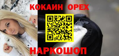 шишки Кингисепп