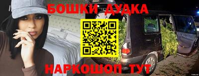 шишки Кингисепп