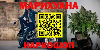 шишки Кингисепп