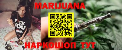 шишки Кингисепп