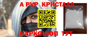 шишки Кингисепп