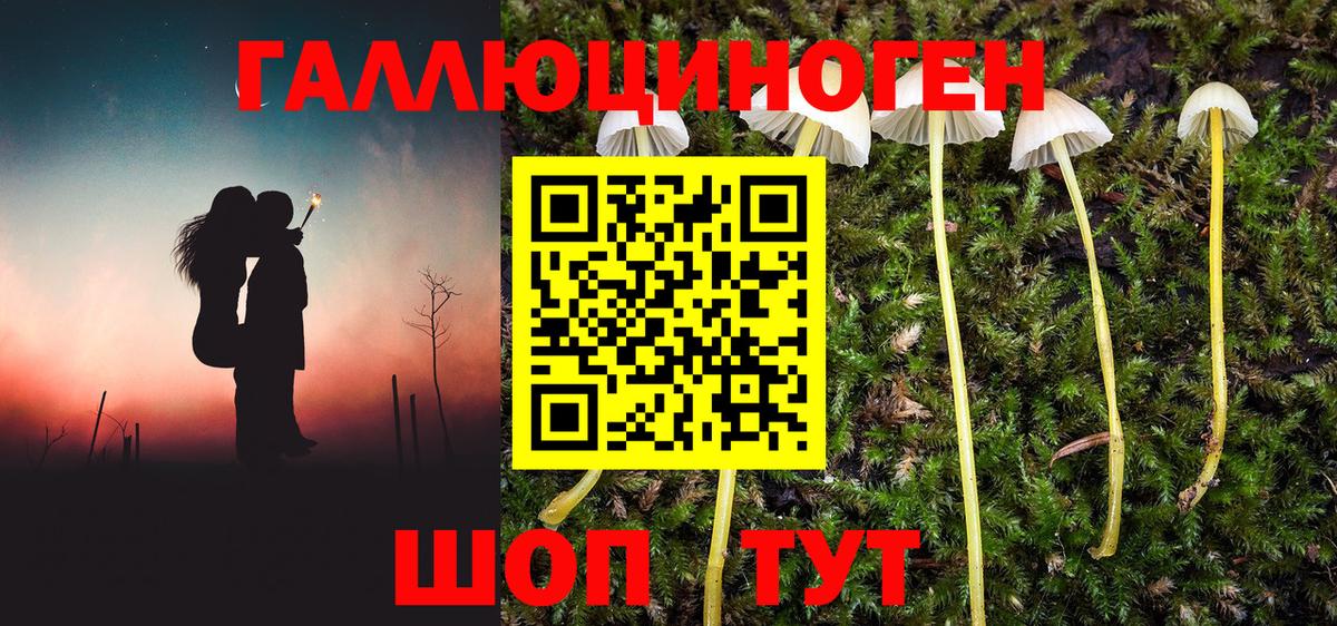 Сургут  Галлюциногенные грибы Cubensis  Вход с VPN 