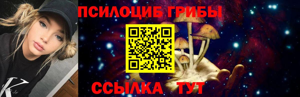 Галлюциногенные грибы Magic Shrooms  Псилоцибиновые грибы Cubensis  Сургут 
